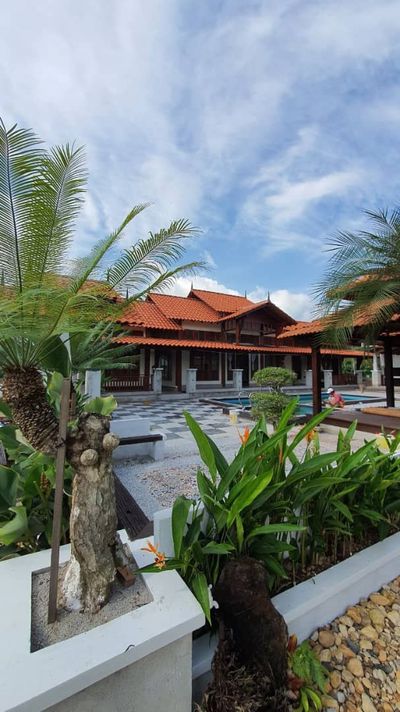 Pokok paku dan bumbung genting merah mengelilingi halaman berbatu.