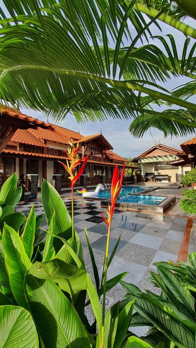 Bunga heliconia merah di hadapan kolam dan bumbung genting.