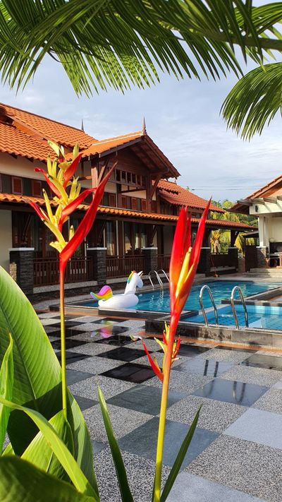 Bunga heliconia merah di hadapan kolam dan bumbung